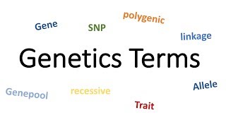 Terms of Genetics