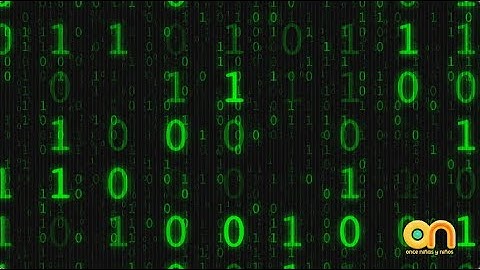 Código binario. Las matemáticas en la naturaleza | Once Niñas y Niños