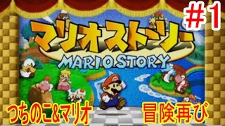 #1【一番最初のペーパーマリオ】　マリオストーリー　つちのこ実況