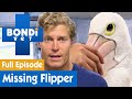 🐦 Pelican Bird Gets A New Foot Made | FULL EPISODE | S08E11 | Bondi Vet