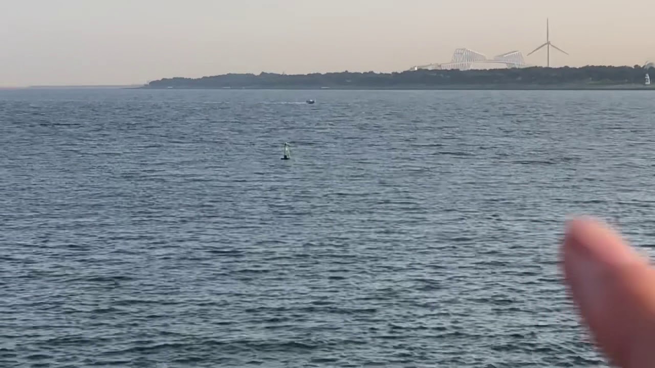 東京湾にクジラ現る 葛西臨海公園付近 Youtube