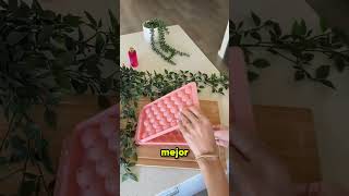 ✅🤩Taller gratuito de jabones artesanales 👀😮 #jabonesartesanales #clasesgratis