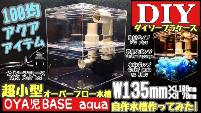 アクア100均diy 超小型of自作水槽 ダイソーのプラケースを使ってオーバーフロー水槽つくってみた 金魚 アピスト ベタ メダカ グッピー カラシン 稚魚育成 Youtube