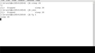Linux Command (Fg)