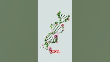 Het stille verval van Data Drift