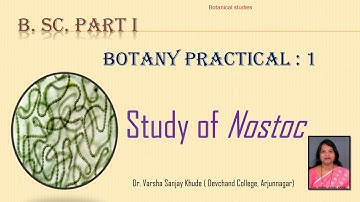 Nostoc Practical | Dr. Varsha Khude |Botanical studies