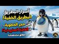 "أسرار البطريق الخفية! 🐧 من 'حجر الخطوبة' لـ 'القفزة الصاروخية'.. حقائق ستدهشك!#البطريق"#penguin