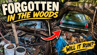 Can we save this Plymouth Volare Station wagon Its been sitting for 40 years!!!