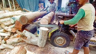 Pengolahan kayu mahoni di sawmill pembuatan bahan papan