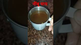 nimbu chai trending recipe #food desi chai/lemon tea #viral #chaitea #shorts