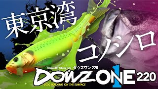 DOWZONE / ダウズワン - SALT WATER 海釣り｜JACKALL ...