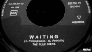 The Blue Birds - Waiting