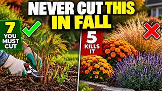 7 Perennials You MUST Cut to the Ground in September! 🌿 And 5 You Should NEVER Cut!