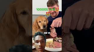 Feeding a bog 1$ vs 10000$  steak🤗🤗 #dog #steak #dogfood #mrbeast #animals
