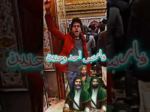 على حب فحل الفحول ابن عم الرسول