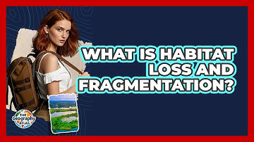 What Is Habitat Loss And Fragmentation? - The Geography Atlas