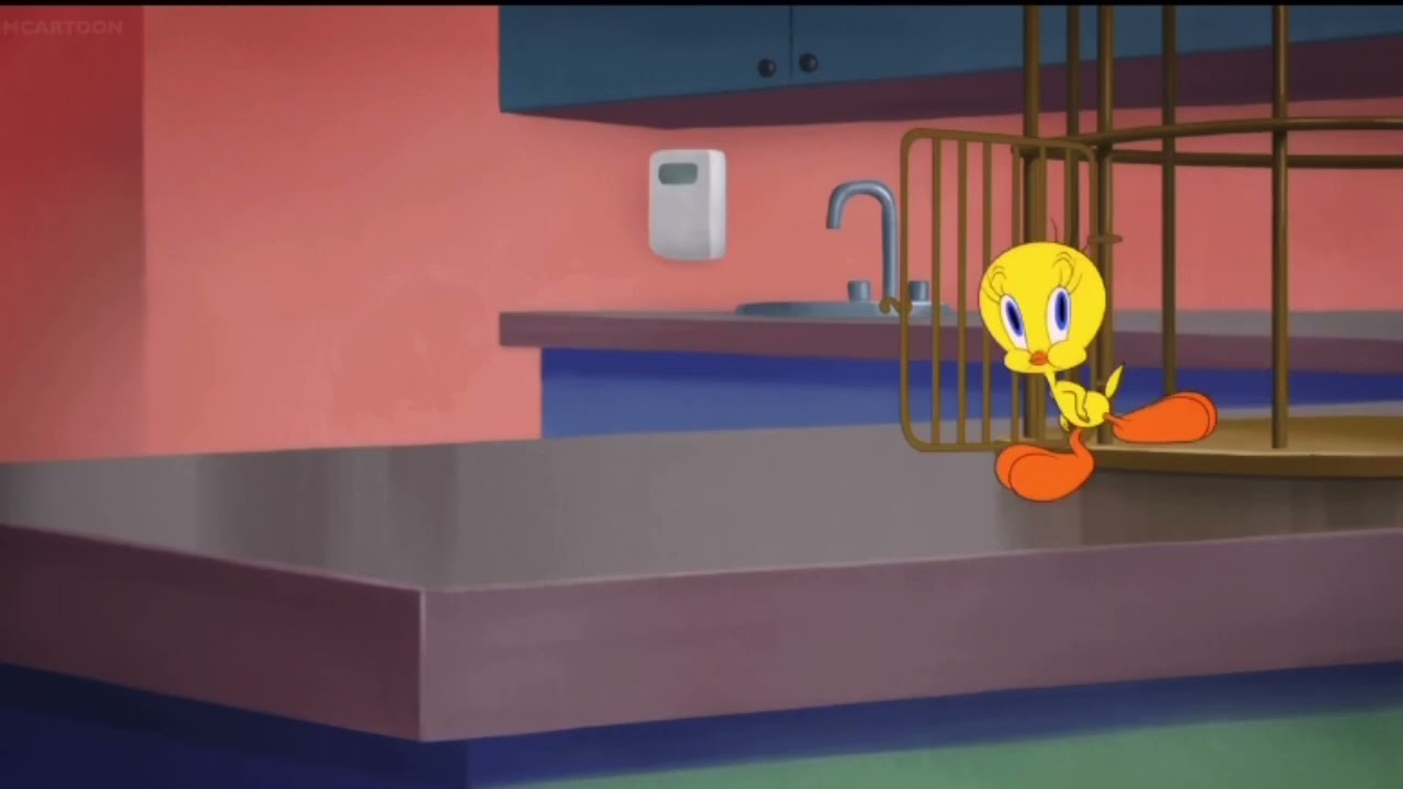 Sylvester And Tweety In "Fully Vetted"