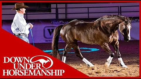 Clinton Anderson with his amazing horse "Mindy" in...