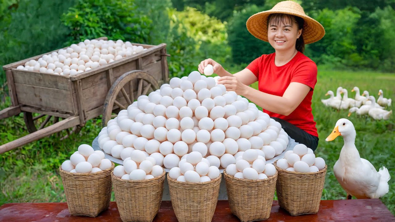 Cosecha de Huevos de Pato Gigantes en la Alta Montaña | ¡Se Agotan en el Mercado al Instante!