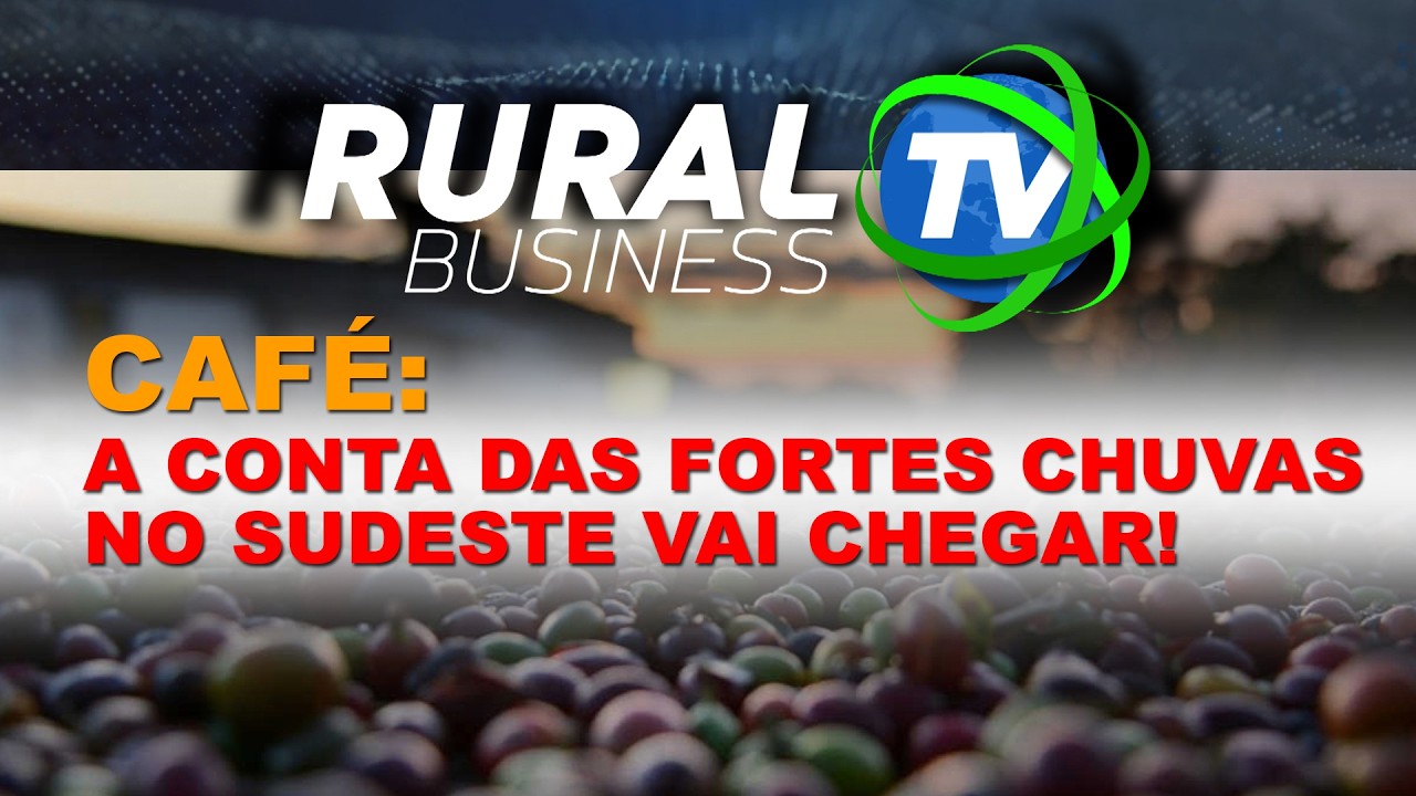 CAFÉ: A CONTA DAS FORTES CHUVAS NO SUDESTE VAI CHEGAR!