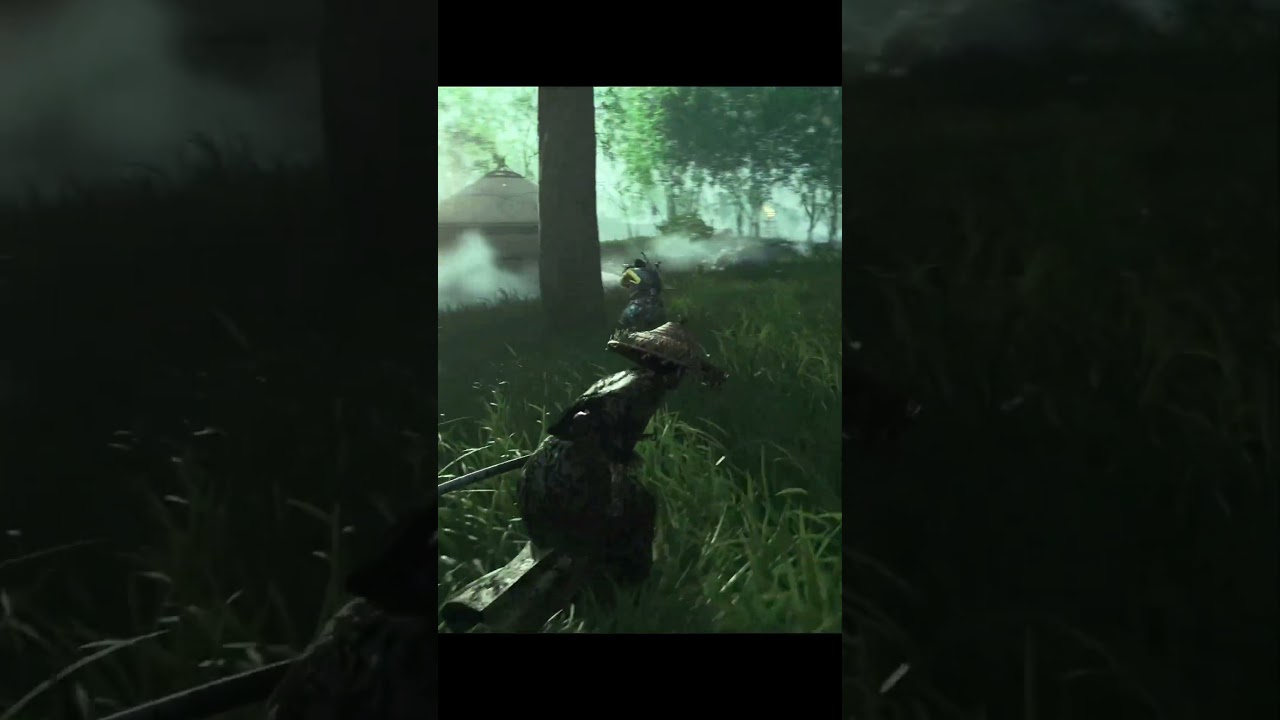 Black Ronin • Stealth kills • Ghost of tsushima