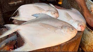 Very Testy &amp; Very Expensive Pomfret Fish Cutting In Fish Market | Tilapia Fish Cutting Skills