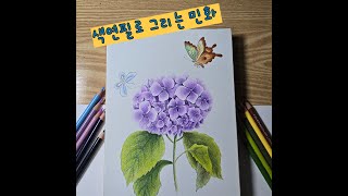 초보자를 위한 민화처럼 채색하는 색연필 꽃그림 / Folk painting drawn with colored pencils