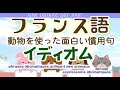 238. フランス語 イディオム 動物を使った慣用句phrases idiomatiques utilisant des animaux★フランス語聞き流し