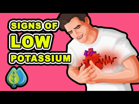 Top 8 Low Potassium Symptoms You Should Not Ignore