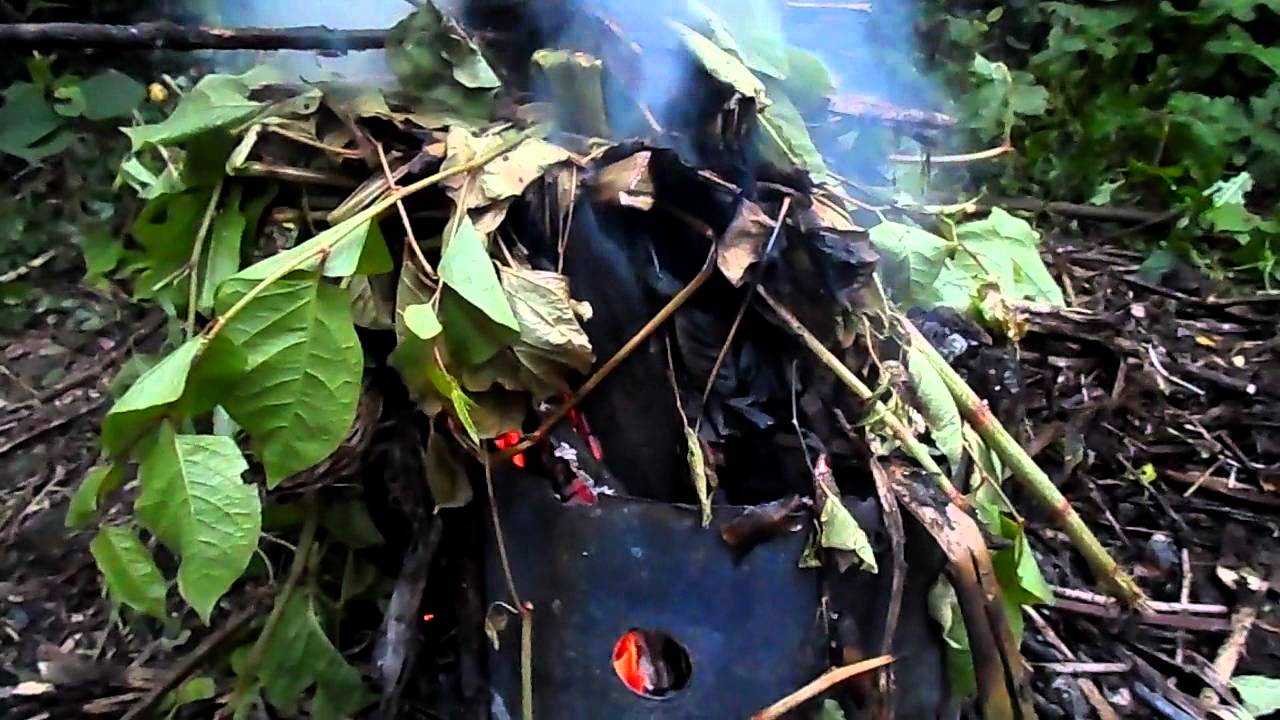 The Trust Controlled burning japanese knotweed in Speckled Wood invite
