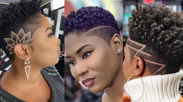 Video 4350211: american shorthair black, black african american, beautiful american