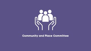 Community and Place Committee Meeting - 15 July 2025 - Part 1