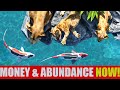 I RECEIVE MONEY &amp; UNEXPECTED ABUNDANCE: 432Hz Music ❯ Subliminal (Feng Shui Koi Fishes + Wild Lions)