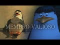 ESTOU PRONTO CAPITÃO | (Edit) Os Pinguins de Madagascar