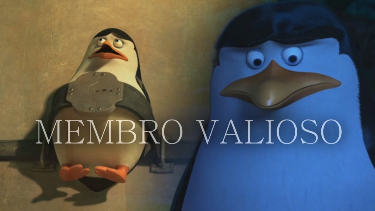 ESTOU PRONTO CAPITÃO | (Edit) Os Pinguins de Madagascar