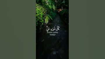 وَجَعَلْنَا مِنَ الْمَاءِ كُلَّ شَيْءٍ حَيٍّ أَفَلَا يُؤْمِنُونَ سورة الانبياء ياسر الدوسري
