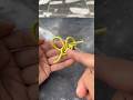 Crafters, This is so simple! A Smart Idea With a Rope! #diy #ideas