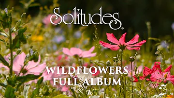 1 hour of Relaxing Music: Dan Gibson’s Solitudes - Wildflowers (Full Album)