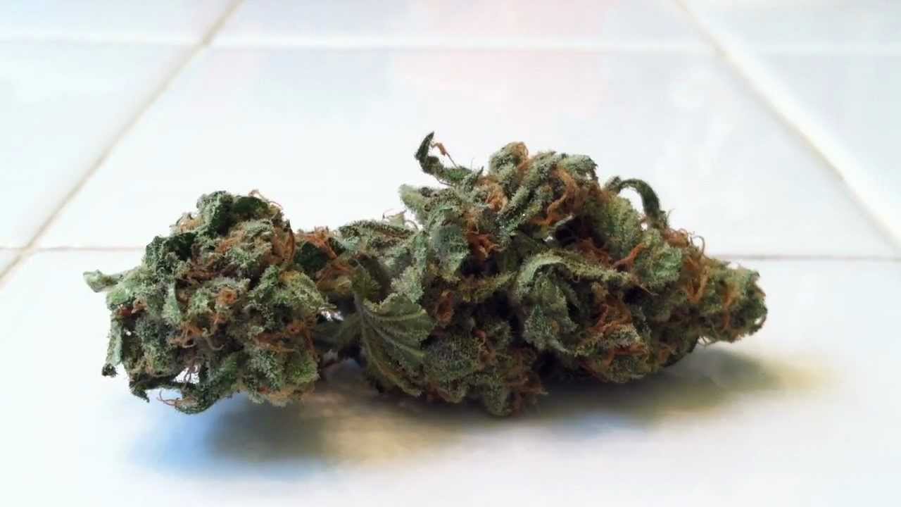 Jack Herer - Los Angeles marijuana strain LABUDSMOKE