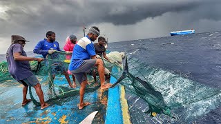 Deadly Storm at Sea 🌊 Fishermen Battle Extreme Waves for a Massive Catch! || Day-09