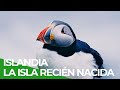 Islandia la isla recin nacida  free documentary nature  espaol
