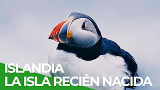 Islandia, La isla recién nacida | Free Documentary Nature - Español