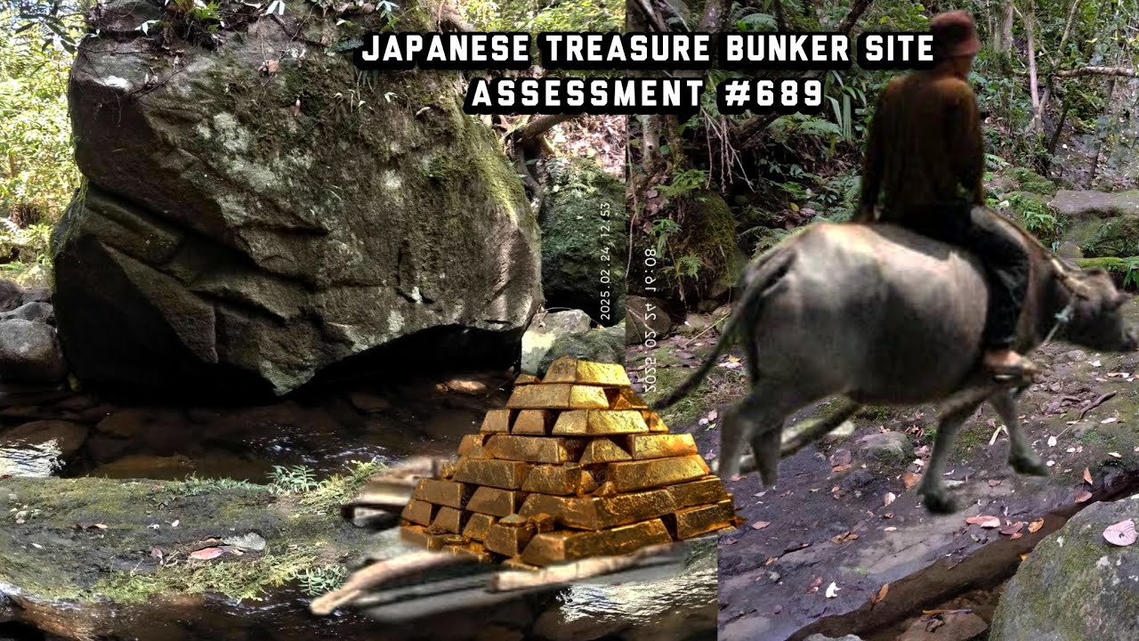 Japanese treasure bunker site assessment #689