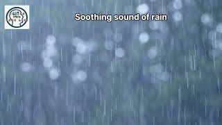Rain's Rhythm: Unlocking Mental Clarity, Mood Boost, and Sleep Bliss