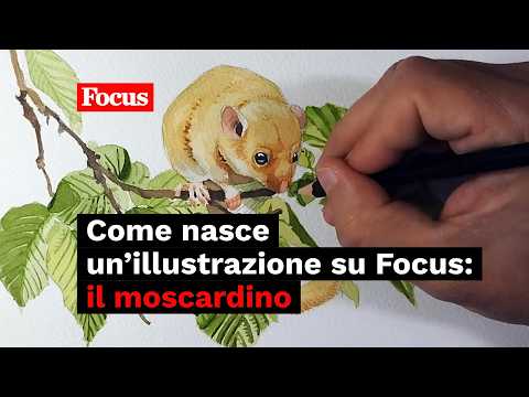 Tipi italiani: il moscardino
