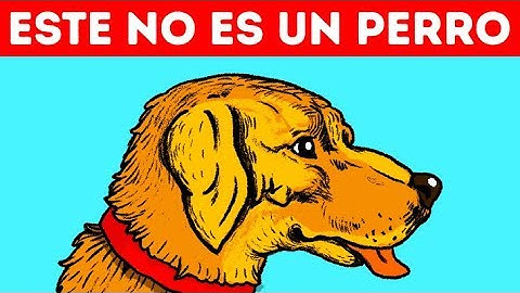 11 Ilusiones ópticas que engañarán a tus ojos