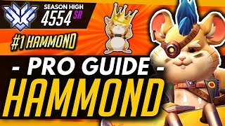 Overwatch | HAMMOND PRO Guide - Tips For Learning / Playing Wrecking Ball (ft Yeatle)