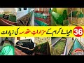 Ziyarat e Anbiya | Graves of 36 Prophets | Tombs of 36 Prophets | Shrines of All Prophets,ZubairSafi