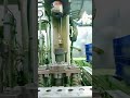 💥💢Amazing Wiper Motor Magnet Pressing Machine💢 | #shorts #motor