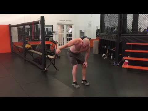 Landmine Reverse Fly